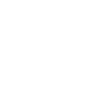 Professional Car Detailing Team